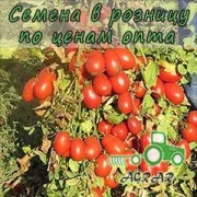 Купить семена томатов Дино F1 в Украине