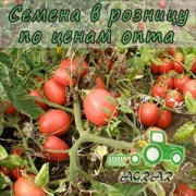 Купить семена томатов Эскорт в Украине