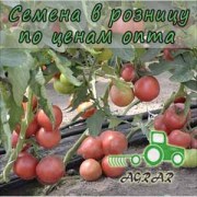 Купить семена томатов Эсмира F1 в Украине