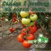 Купить семена томатов Фантастина F1 в Украине