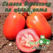 Купить семена томатов Галилея F1 в Украине