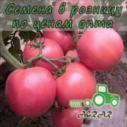 Купить семена томатов Глориансе F1