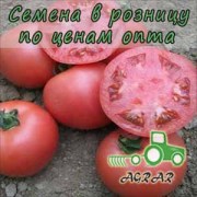 Купить семена томатов Грифон F1 в Украине