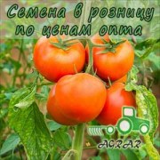 Купить семена томатов ГС-12 F1 в Украине