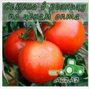 Купить семена томатов ГС-12 F1