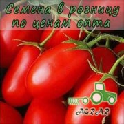Купить семена томатов Хайпил F1