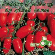 Купить семена томатов Инкас F1