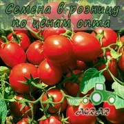 Купить семена томатов Jag 8810 F1