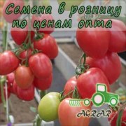 Купить семена томатов Камелот F1 в Украине