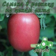Купить семена томатов Камелот F1
