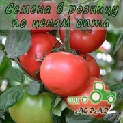 Купить семена томатов Канна 218 F1 в Украине