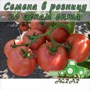 Купить семена томатов Кибо F1 в Украине