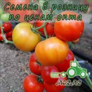 Купить семена томатов Кларабелла F1 в Украине