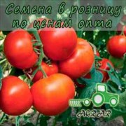 Купить семена томатов Кларабелла F1
