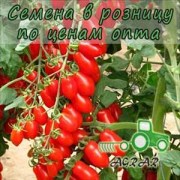 Купить семена томатов Коллина F1