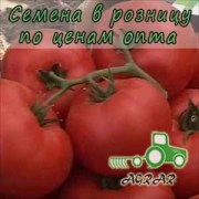 Купить семена томатов Корвинус F1 в Украине