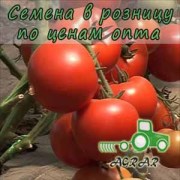 Купить семена томатов Корвинус F1