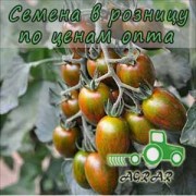 Купить семена томатов Криспина Плюм F1