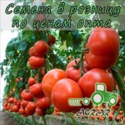 Купить семена томатов Кривянский F1 в Украине