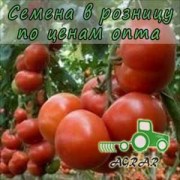 Купить семена томатов Кривянский F1