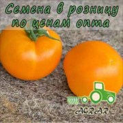 Купить семена томатов KS 17 F1 в Украине