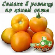 Купить семена томатов KS 17 F1