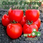 Купить семена томатов KS 1929 F1 в Украине