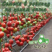 Купить семена томатов КS 21 F1 в Украине