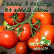 Купить семена томатов КS 21 F1