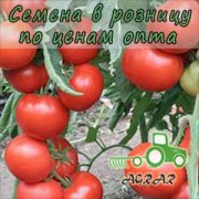 Купить семена томатов Квалитет (Т97082) F1 в Украине