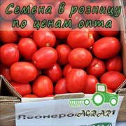 Купить семена томатов Леонероссо F1