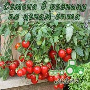 Купить семена томатов Линда F1 в Украине