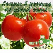 Купить семена томатов Линда F1