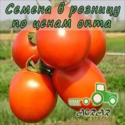 Купить семена томатов Лиона F1