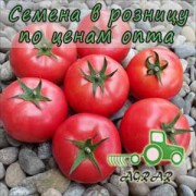 Купить семена томатов Ляна розовая в Украине