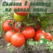Купить семена томатов Ляна