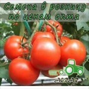 Купить семена томатов Магнус F1