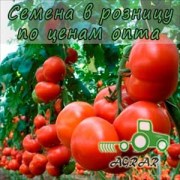 Купить семена томатов Махитос F1