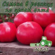 Купить семена томатов Макан (44235) F1