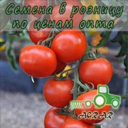 Купить семена томатов Максин F1
