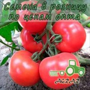 Купить семена томатов Малинка Стар F1