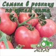 Купить семена томатов Малиновый Звон F1