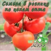 Купить семена томатов Мальва F1