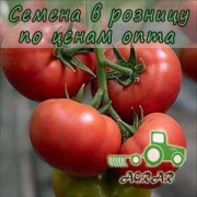 Купить семена томатов Мамстон F1 в Украине