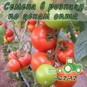 Купить семена томатов Матиас F1