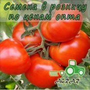 Купить семена томатов Мобил