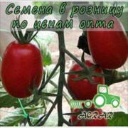 Купить семена томатов Морелия F1