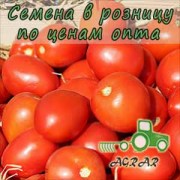 Купить семена томатов Намиб F1