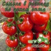 Купить семена томатов Ольга F1