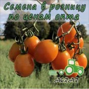 Купить семена томатов Оранж Олив F1